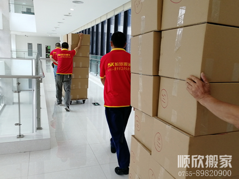 深圳档案运输